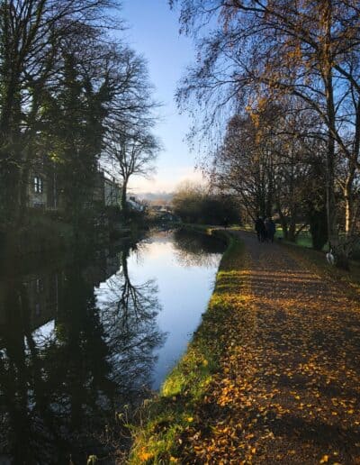 body of water between trees during daytime