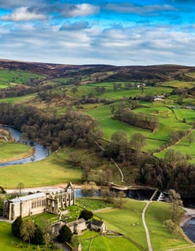 aerial view of green grass field and trees under blue sky during daytime